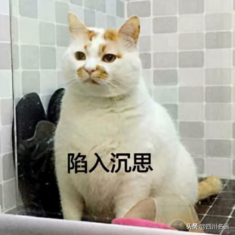 十大低糖水果排行榜 吃红薯对血糖的影响