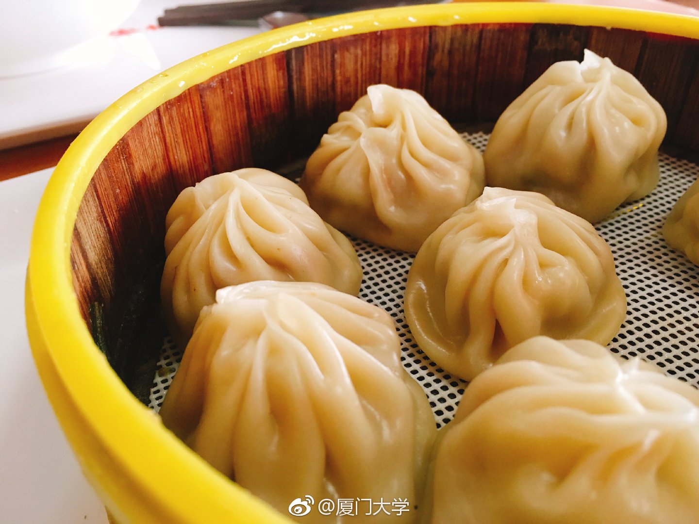 厦门大学食堂有多好？中式大厨做盘菜6元，米饭免费10年，值了