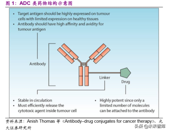 创新药专题：抗体偶联药物，靶向递送毒性小分子的生物导弹