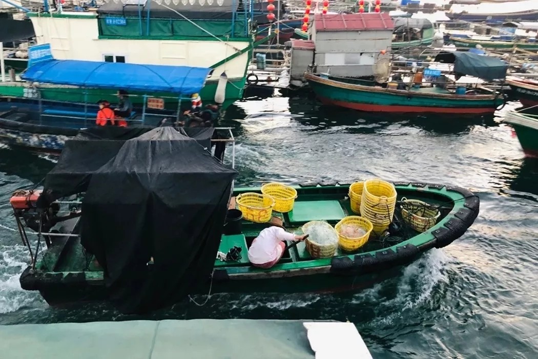 三亚到陵水有多少公里（推荐海南的热门目的地和美食）