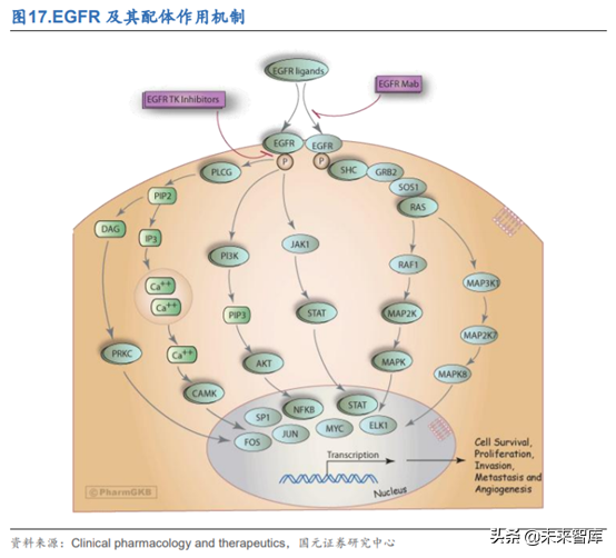 创新药之生物类似药深度研究