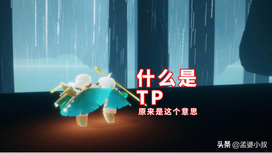 tp是什么意思 tp是什么缩写吗