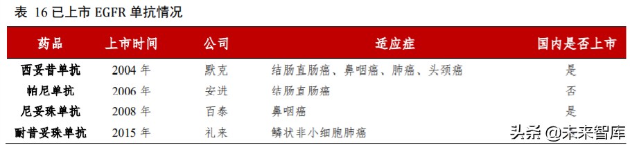 高端生物药之单抗行业深度报告