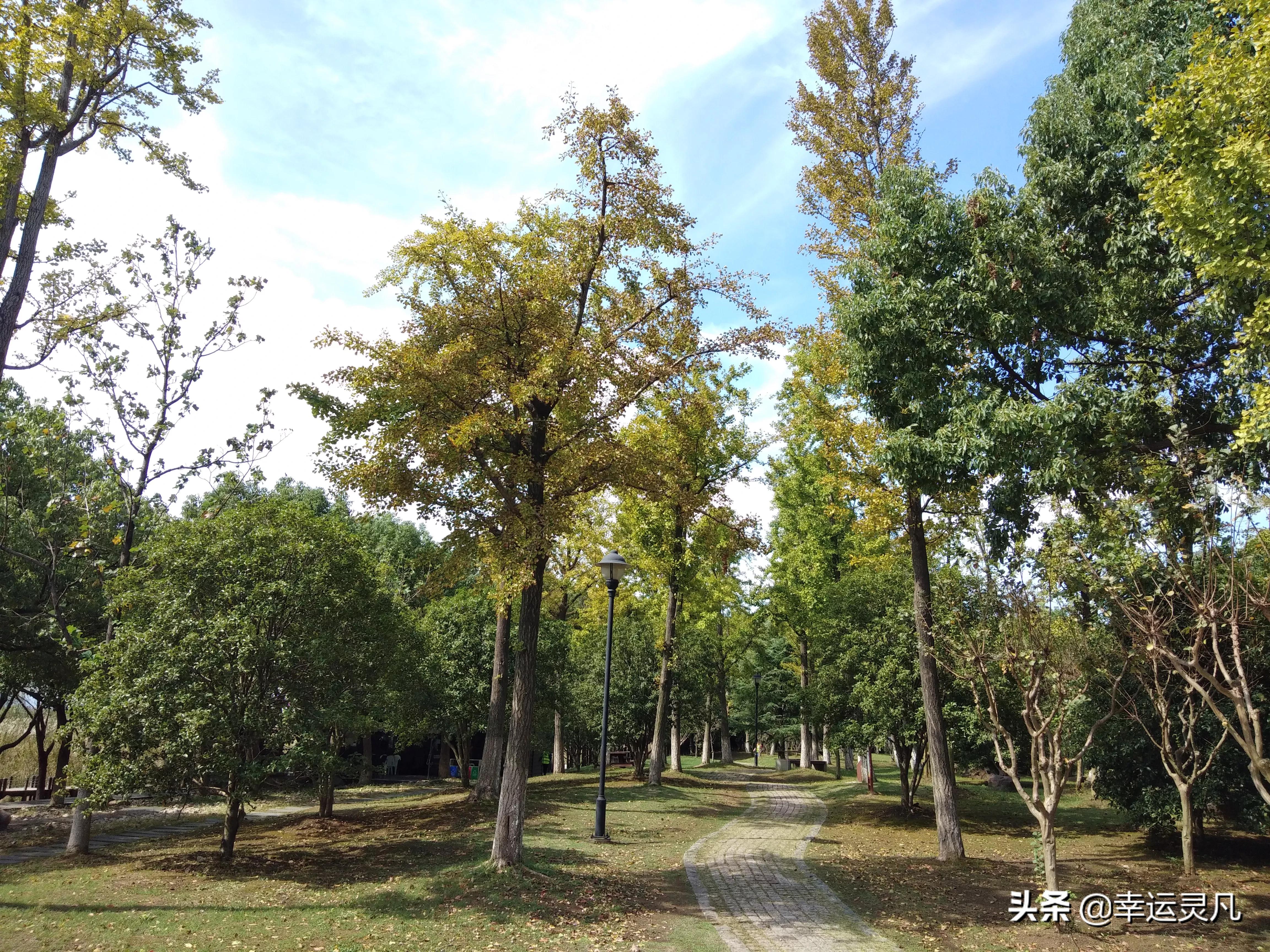 苏州太湖湿地公园 苏州太湖公园