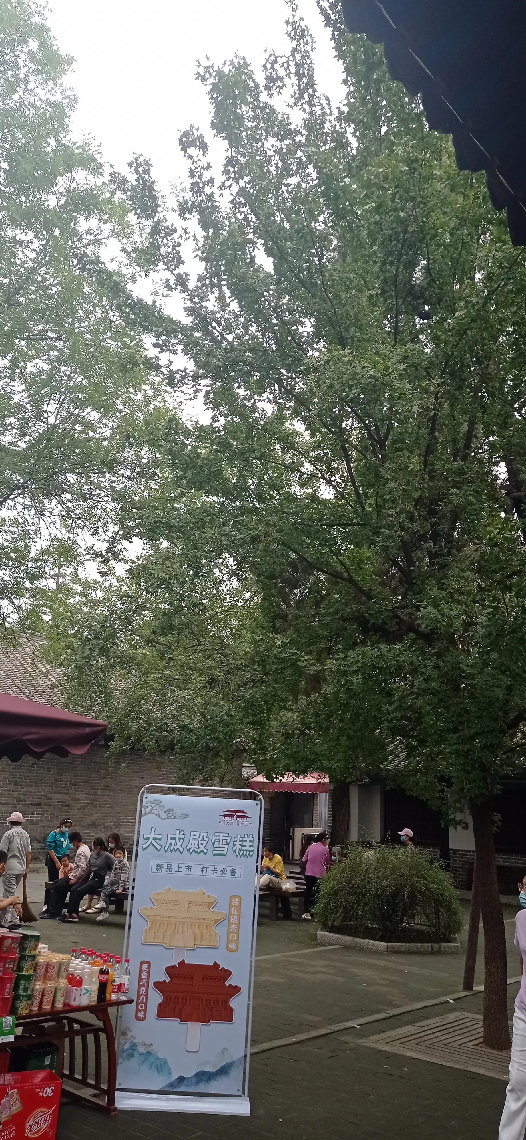 血小板分布宽度 血小板分布宽度偏低