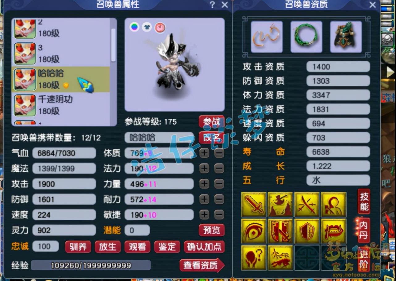 梦幻西游：175超强服战盘丝愤怒6特技，5技能谛听堪称单挑神器