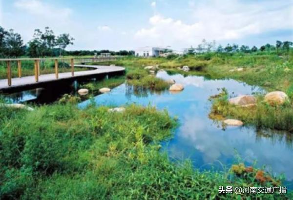 郑州国家森林公园 郑州国家森林公园景点