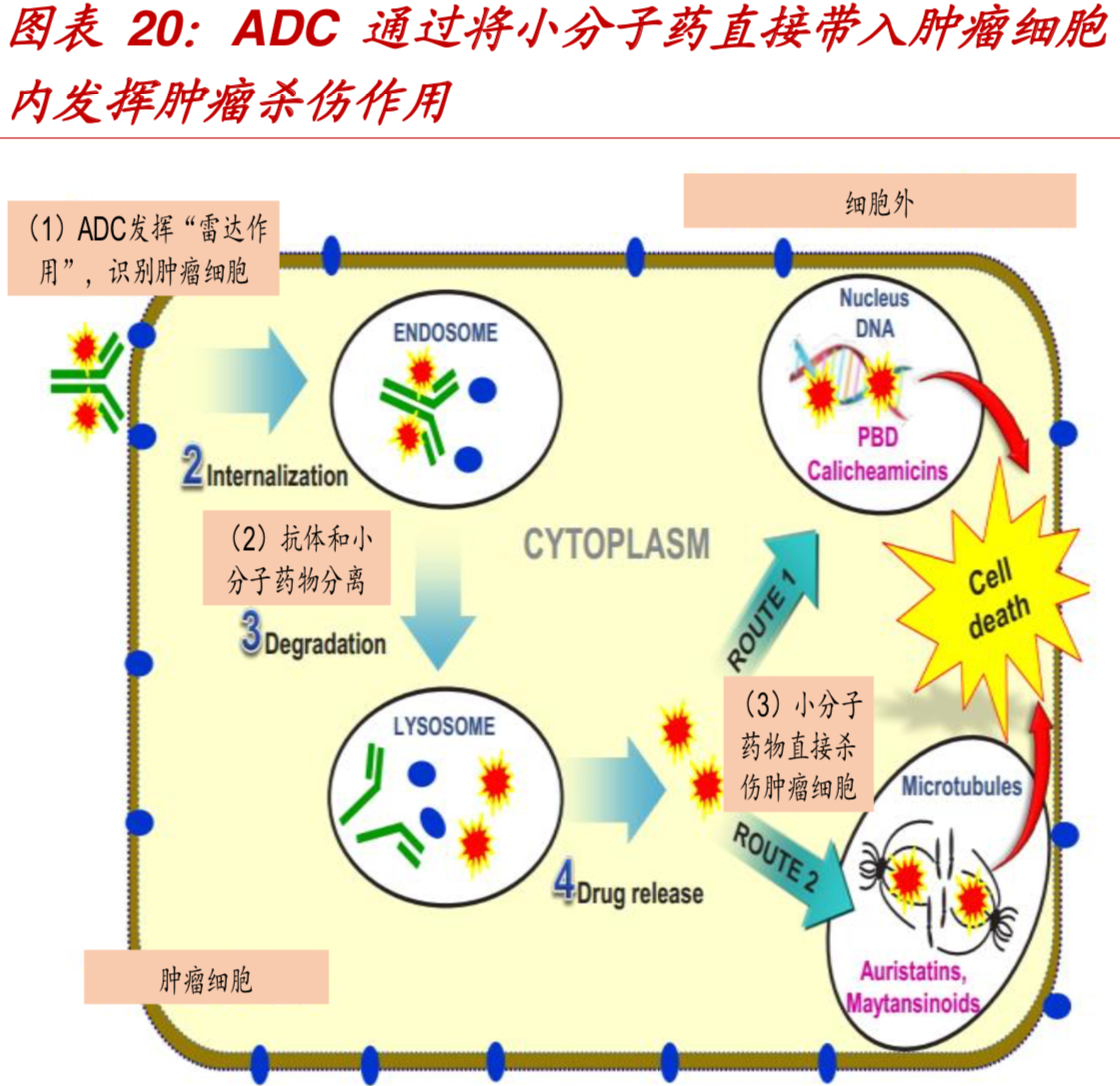 创新药全球发展趋势及国内发展机会分析
