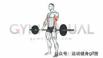 如何锻炼手臂肌肉 手臂怎么练出肌肉线条