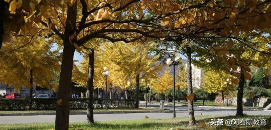 鞍山师范学院高等职业技术学院 鞍山师范函授分数线