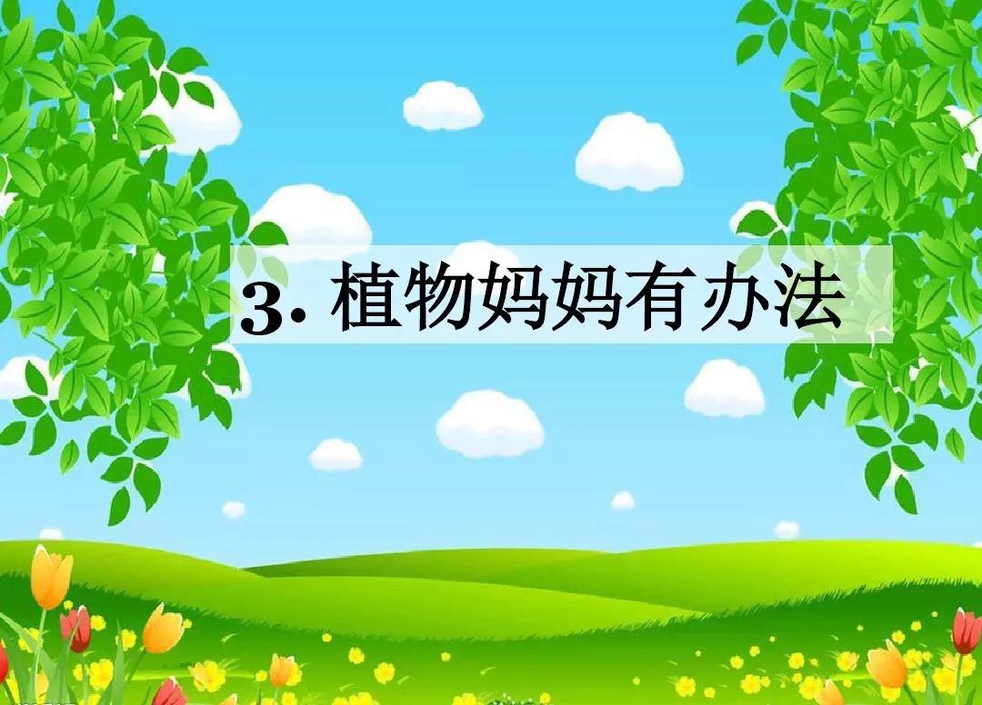 植物传播种子的方法有哪些 二年级植物传播种子