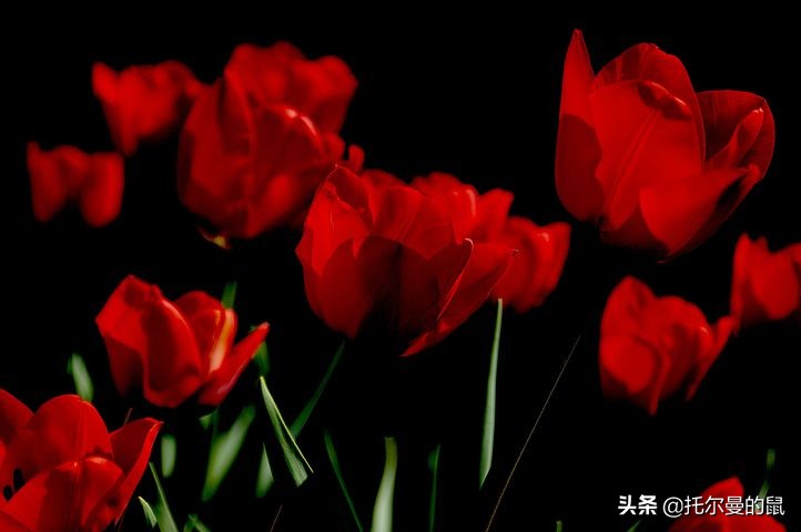 需要层次理论 马斯洛5个层次理论