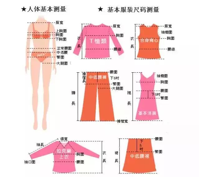 2尺3的腰围是多少厘米 2尺5的腰围是32还是33