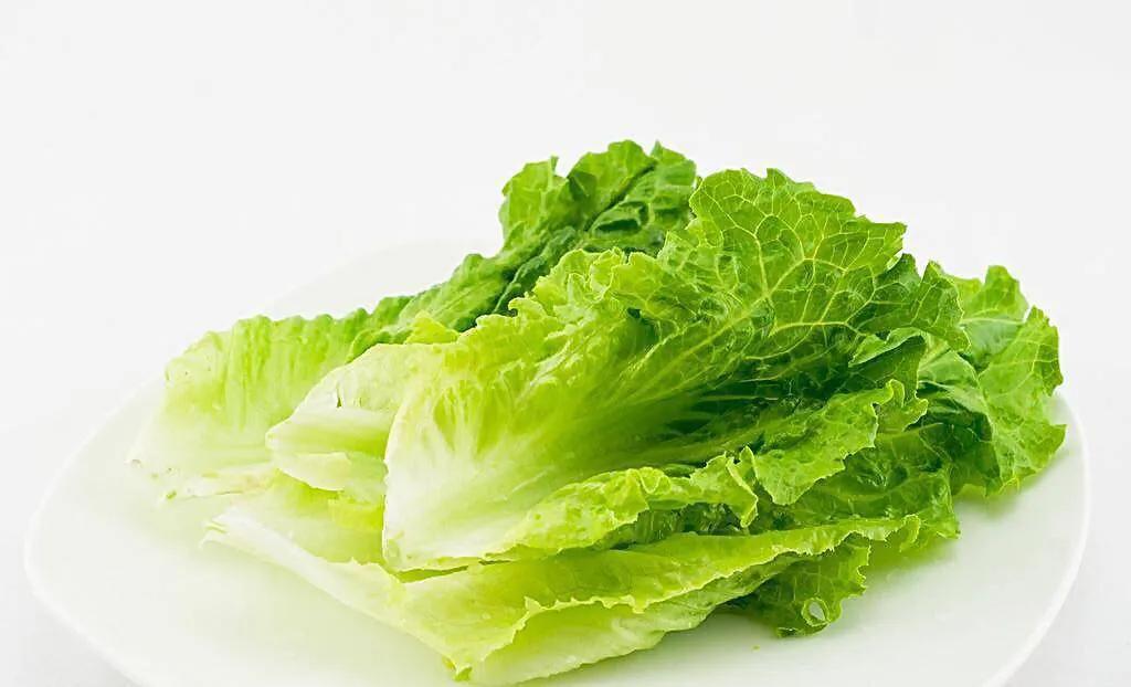 生菜的功效与作用