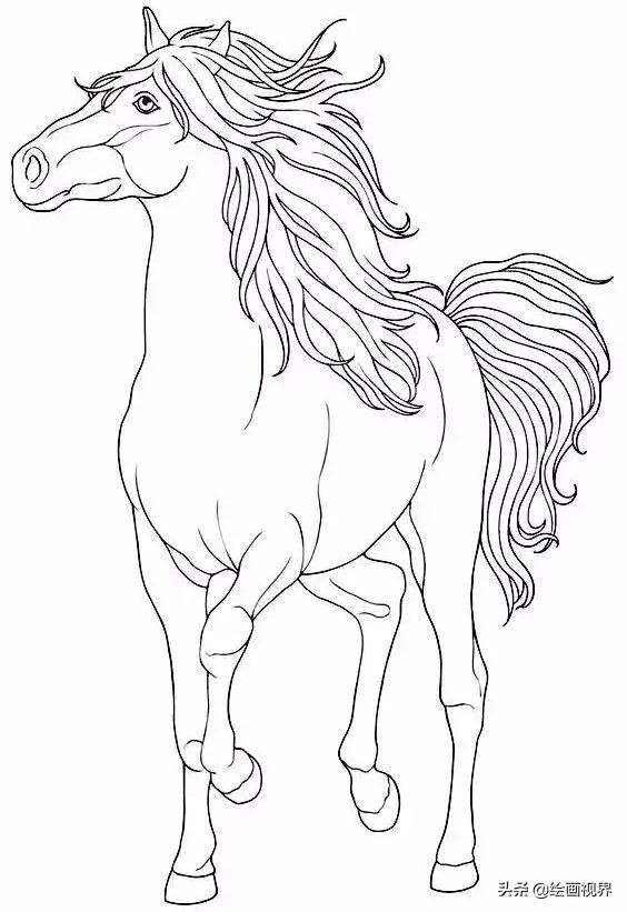 马的简笔画马的基础造型画法图解