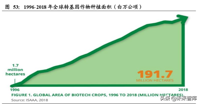 粮食供需分析及国内外种业发展对比专题报告