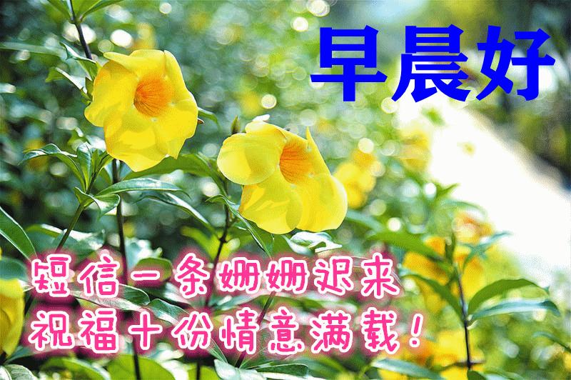 我命由我不由天图片 我命由我不由天图片壁纸