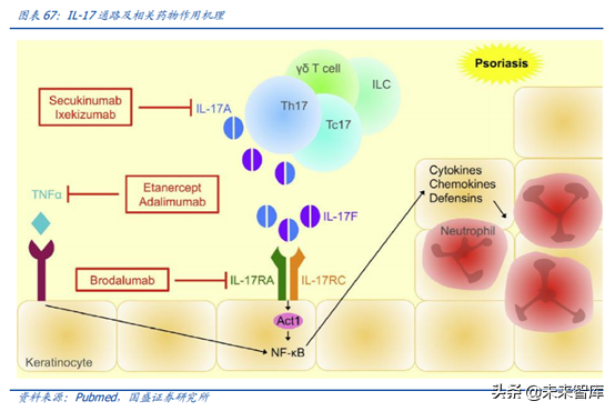 医药行业龙头恒瑞医药深度解析（74页）