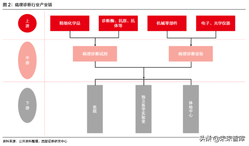 病理检测与诊断行业深度研究报告