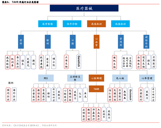 医药生物行业专题：TAVR 有望成为未来主动脉瓣膜疾病的治疗趋势
