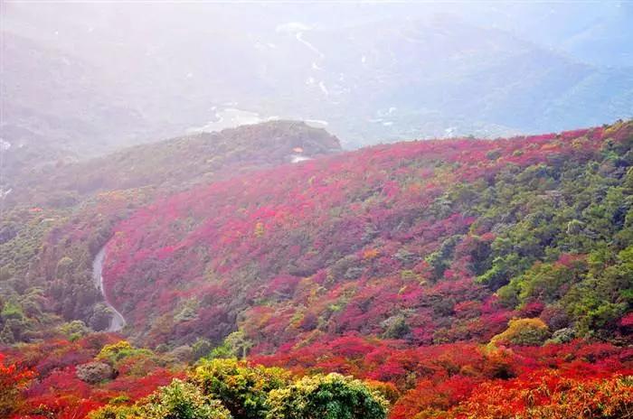 石门国家森林公园 石门一日游最佳攻略