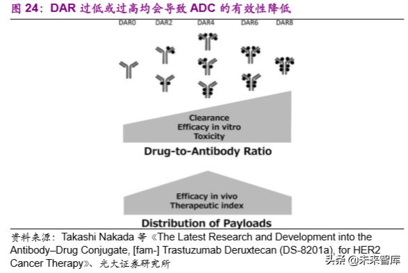 创新药专题：抗体偶联药物，靶向递送毒性小分子的生物导弹