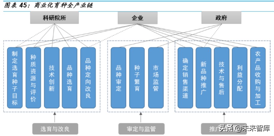 种业深度研究：乘转基因之风，国内种业加速整合发展