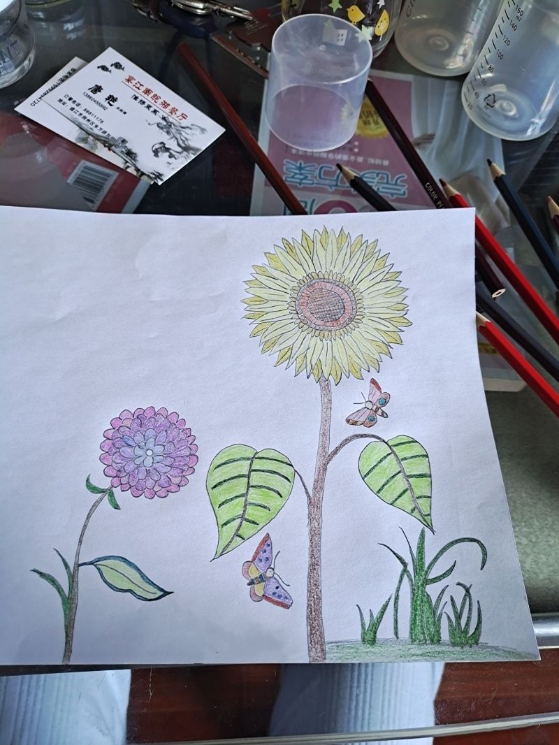 向日葵简笔画 6一9岁儿童画画大全