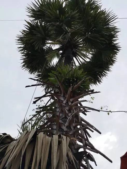 柬埔寨吳哥窟旅游_柬埔寨著名景點吳哥窟