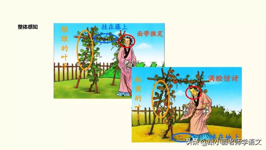 惊奇的反义词 惊奇的反义