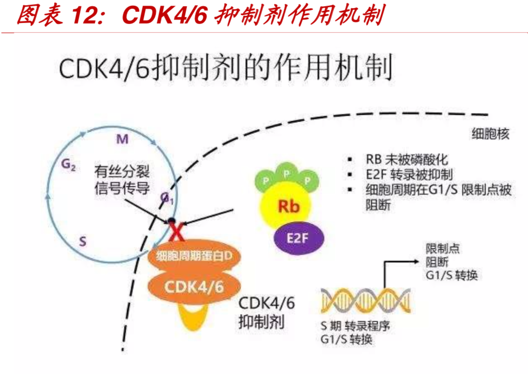 创新药全球发展趋势及国内发展机会分析