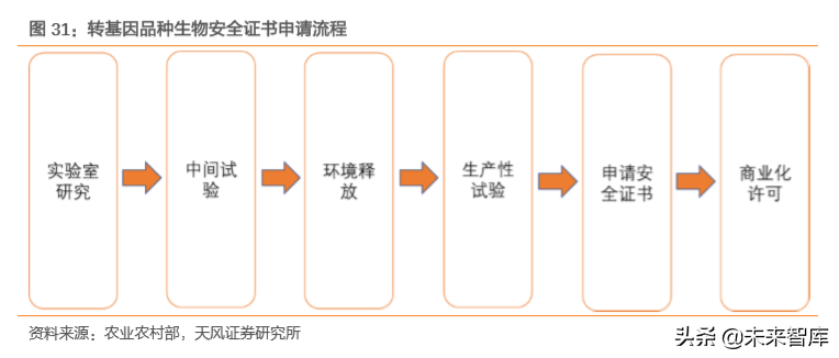 种子行业专题报告：转基因育种放开是否改变种业竞争格局？