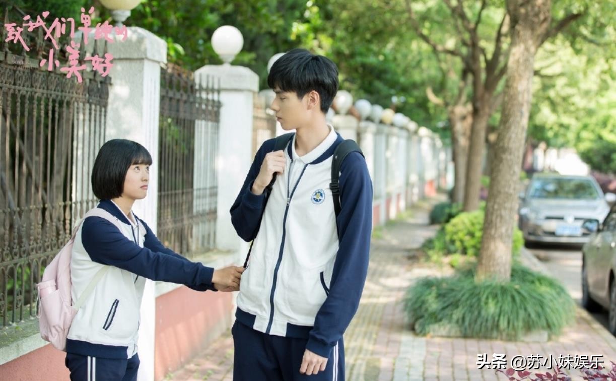 致我们单纯的小美好 致单纯的小美免费阅读