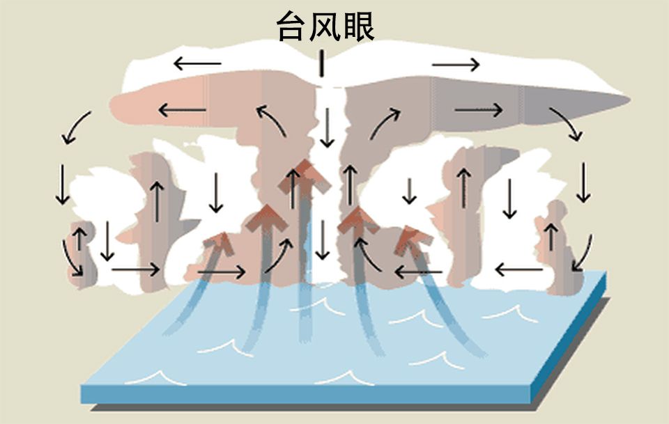 水珠为何可以水上漂，水珠为何可以水上漂