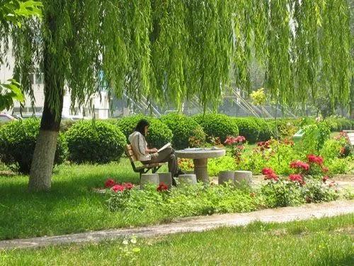 北京工商大学地址 北京工商注册地址
