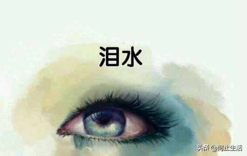 艾青我爱这土地 艾青我爱这土地启示