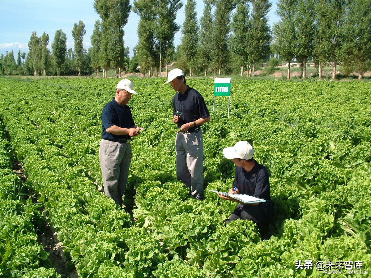 种子行业专题报告：市场空间、发展趋势、供需结构