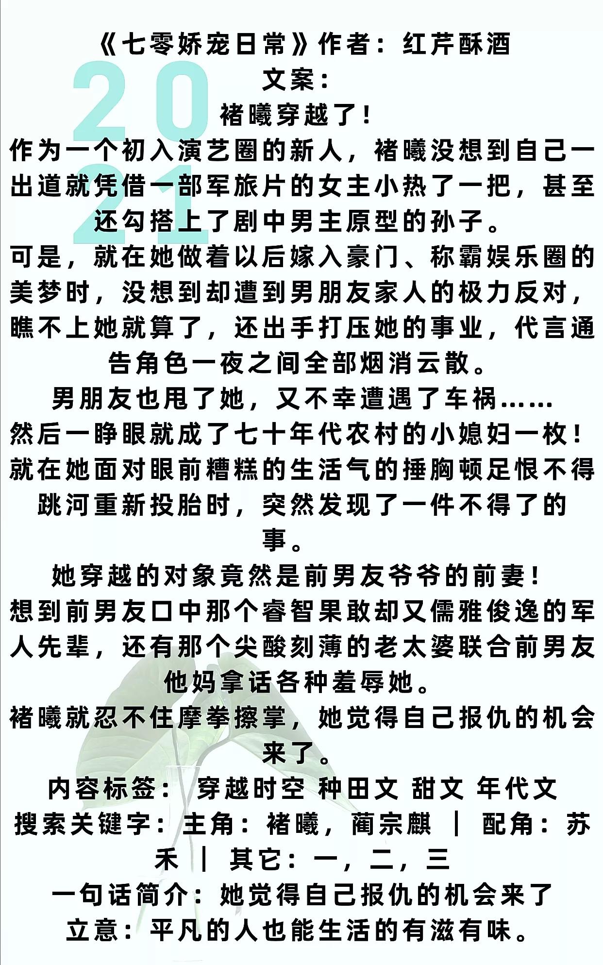 穿越七十年代之军嫂成长记 六零年代养五胞胎日常