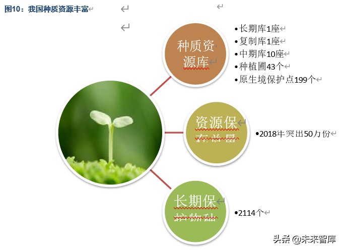 隆平高科深度解析：种质、研发优势突出，持续引领生物育种