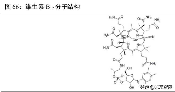 维生素行业深度报告：13个主要维生素品种生产工艺与市场格局解析