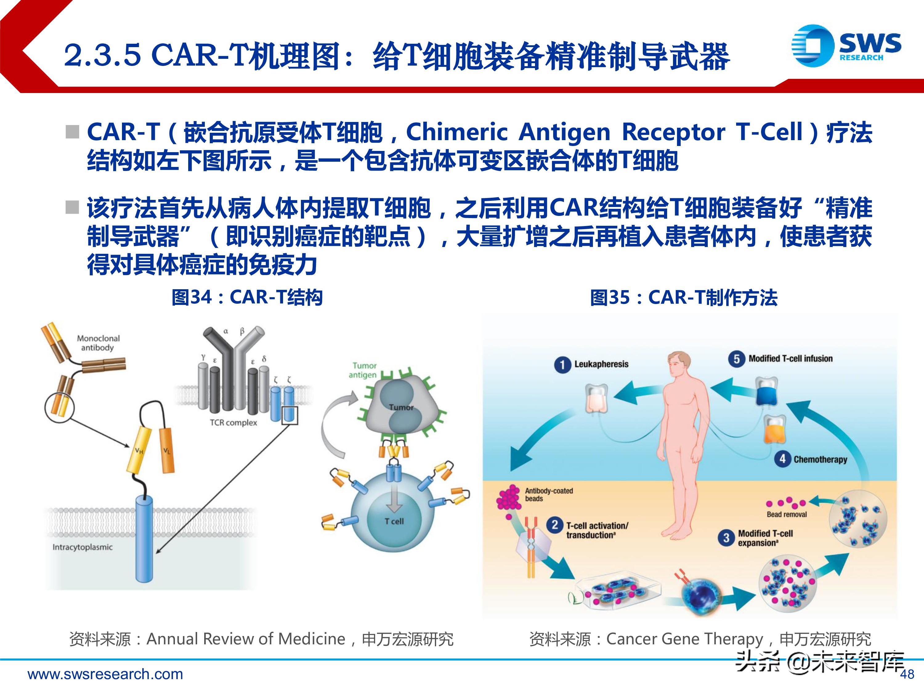 肿瘤创新药：淋巴瘤/白血病专题研究报告