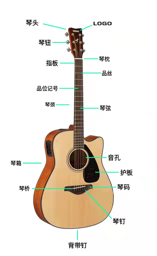 因为不知道吉他各个部位的名称被同学欺凌超基础知识