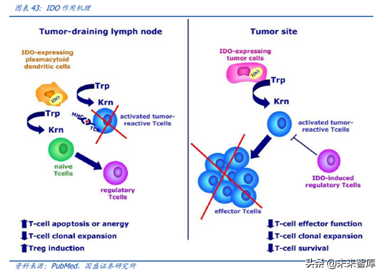 医药行业龙头恒瑞医药深度解析（74页）