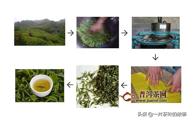 铁观音属于什么茶 女性喝铁观音的好处