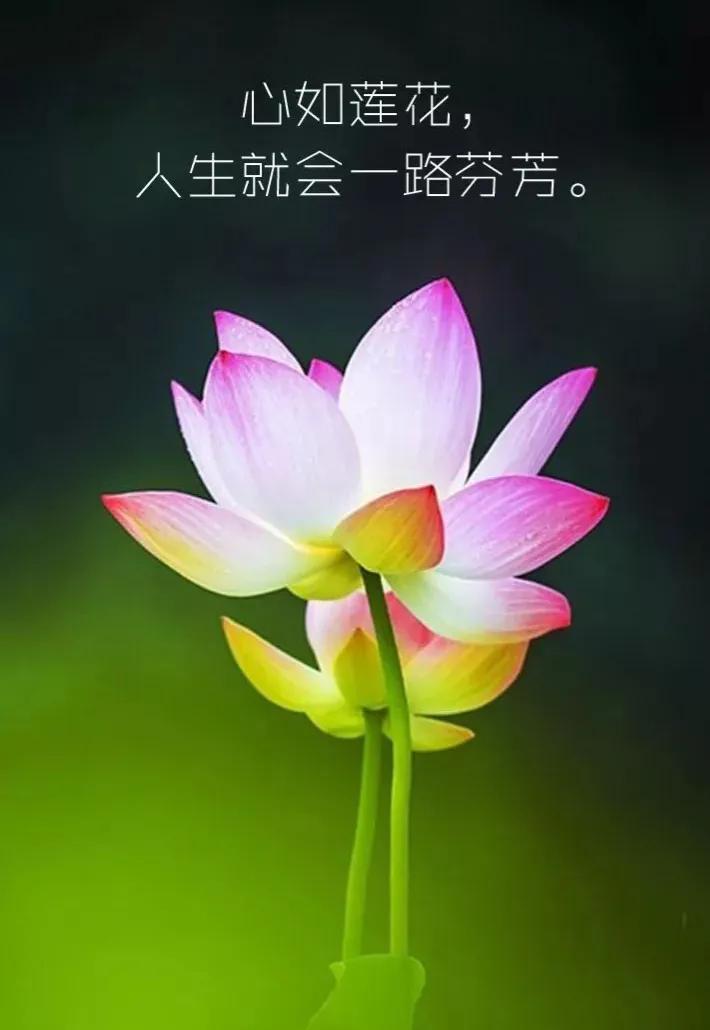 满招损谦受益 满招损谦受益感悟