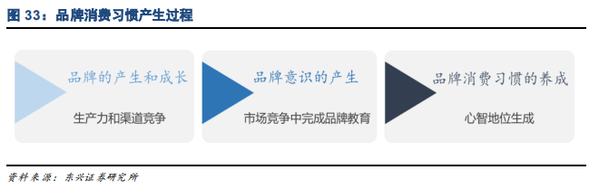 家电行业专题报告：品牌策略从单一到多元的必经之路
