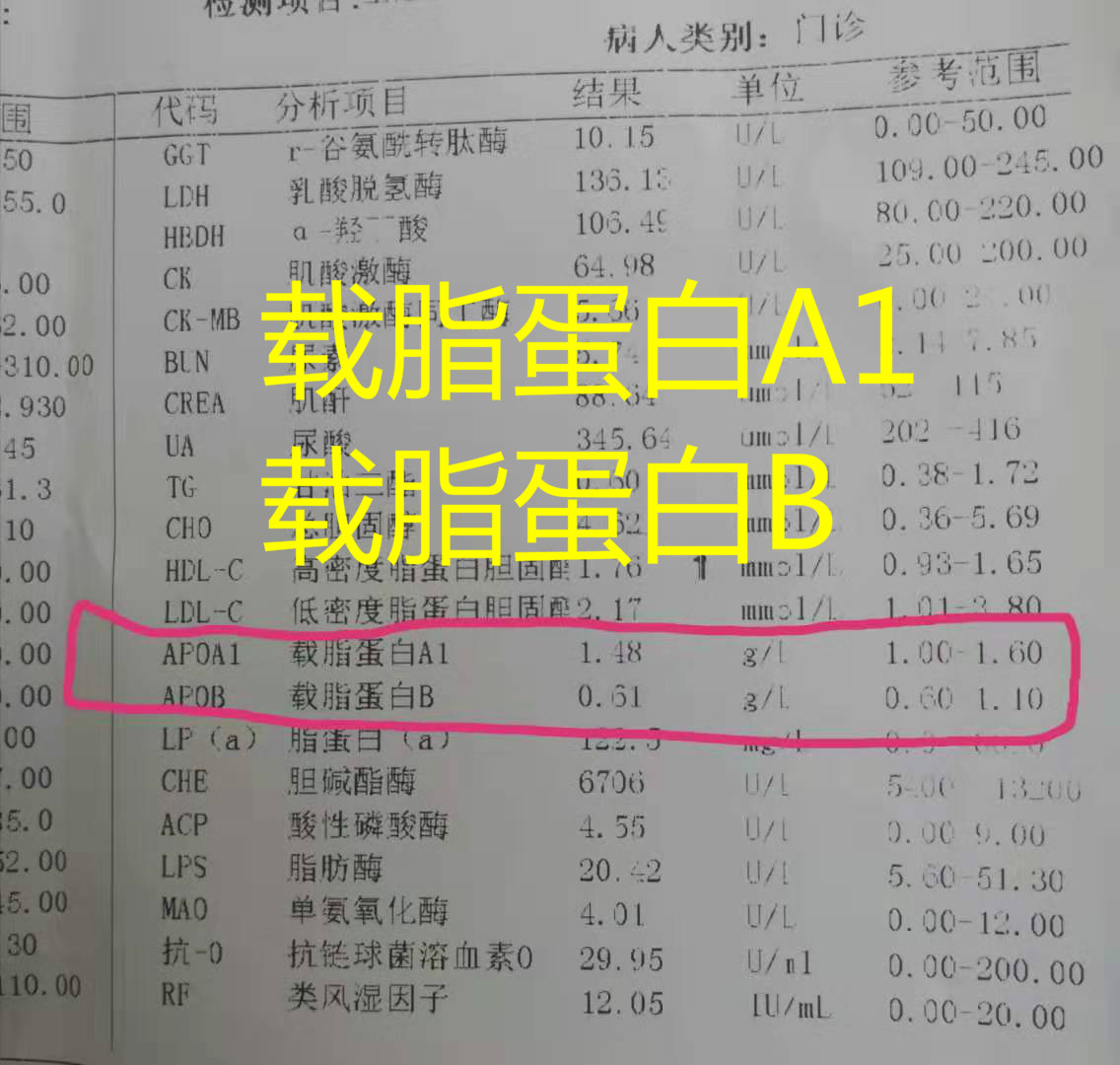 载脂蛋白a1偏低