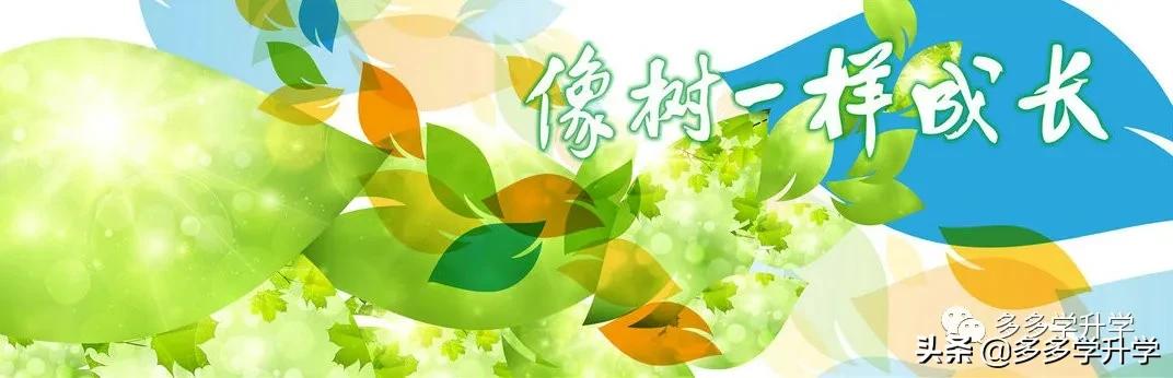 深圳南山外国语学校 深圳南山外国语学校排名