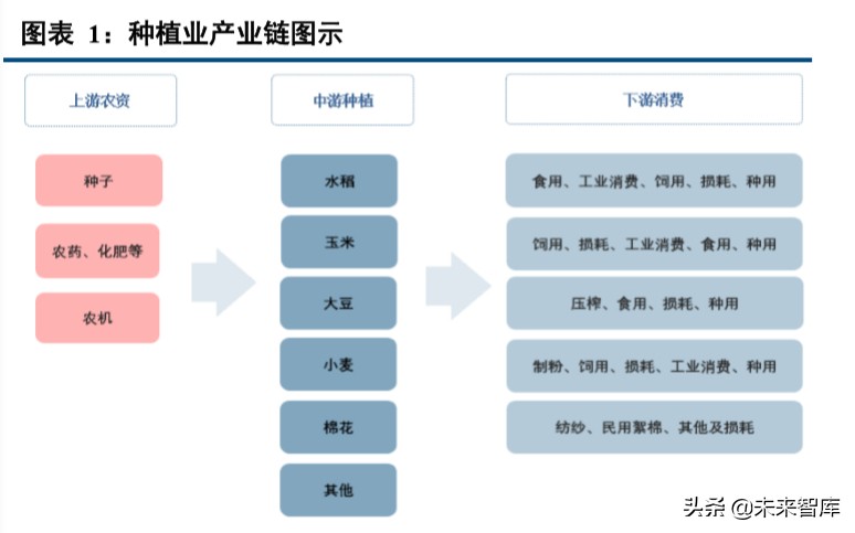 种植业深度报告：种植产业链格局向好，土地流转推动规模上行