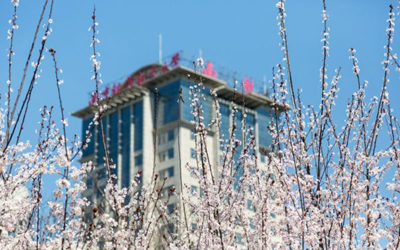 南京航空航天大学是211还是985(南京航空航天大学是不是)